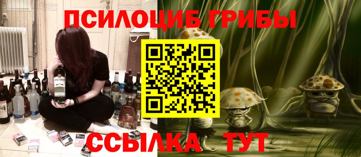 Псилоцибиновые грибы Psilocybe Холмск
