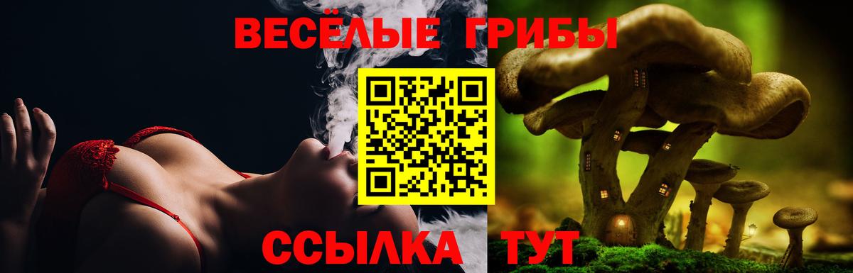 Холмск  Псилоцибиновые грибы мухоморы  Вход с VPN 